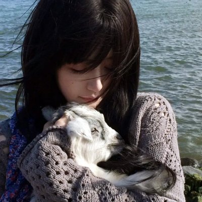 来自中国的熊猫